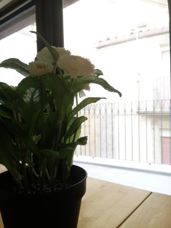 Il Duomo Home 卡尔塔吉罗 外观 照片